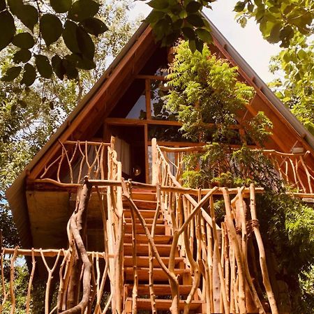 Angry Birds Tree House Leilighet Habarana Eksteriør bilde
