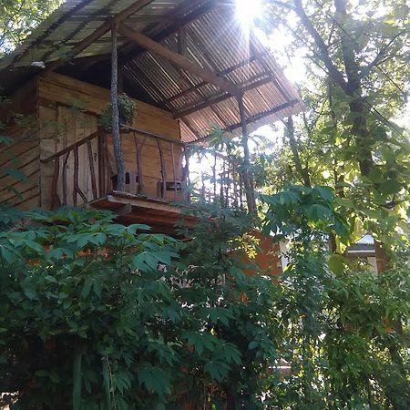 Angry Birds Tree House Leilighet Habarana Eksteriør bilde