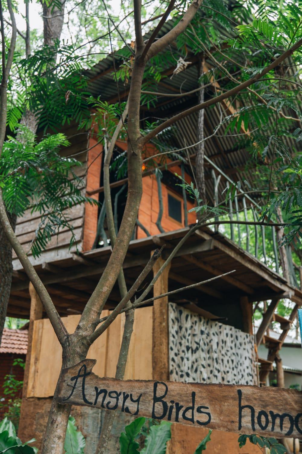 Angry Birds Tree House Leilighet Habarana Eksteriør bilde