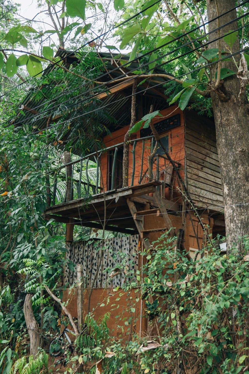 Angry Birds Tree House Leilighet Habarana Eksteriør bilde