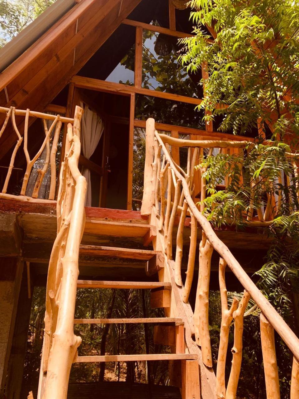 Angry Birds Tree House Leilighet Habarana Eksteriør bilde