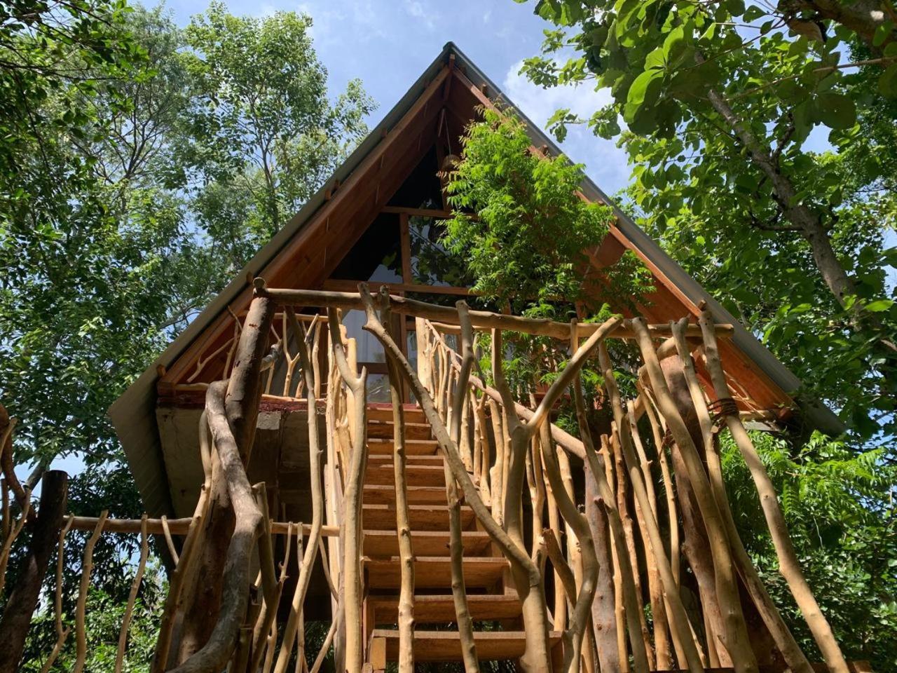 Angry Birds Tree House Leilighet Habarana Rom bilde