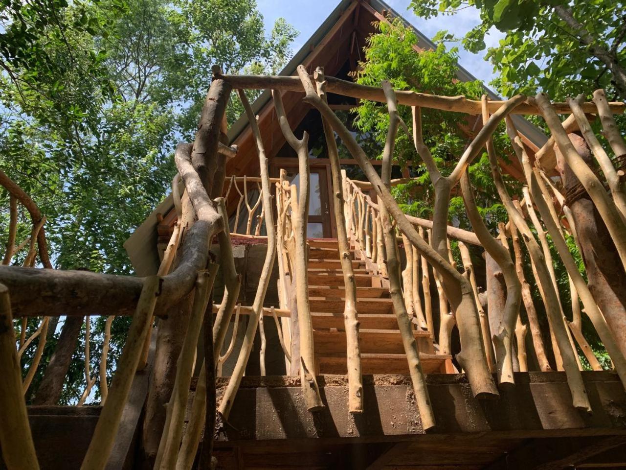 Angry Birds Tree House Leilighet Habarana Eksteriør bilde