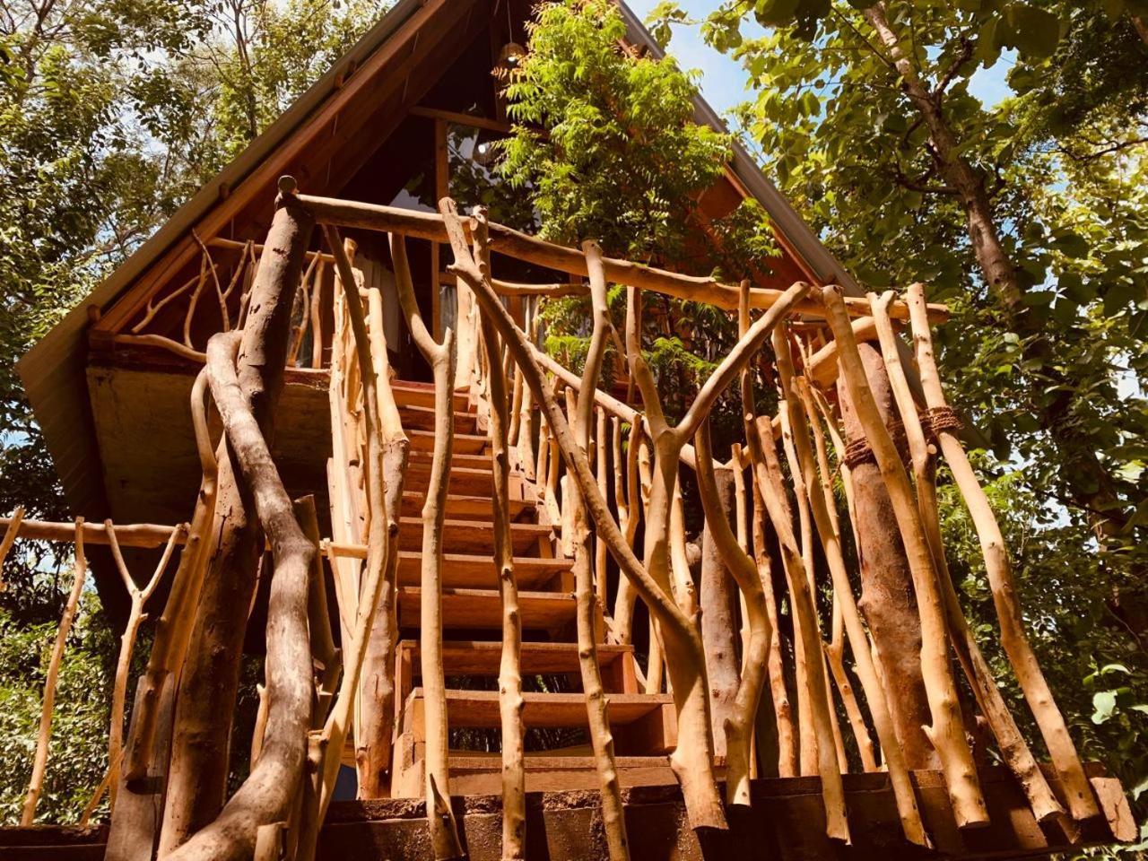 Angry Birds Tree House Leilighet Habarana Eksteriør bilde