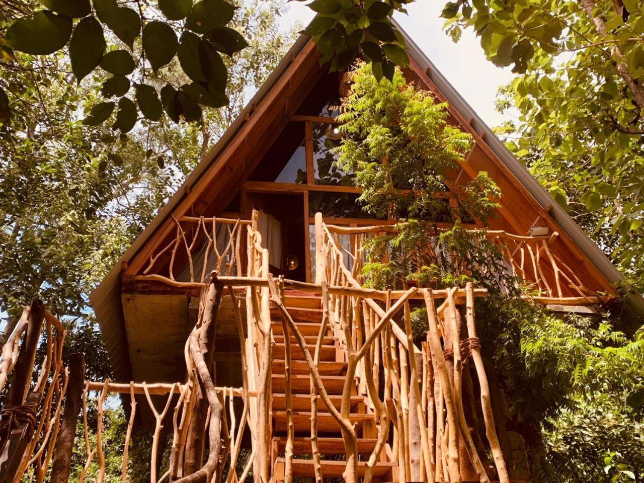 Angry Birds Tree House Leilighet Habarana Eksteriør bilde