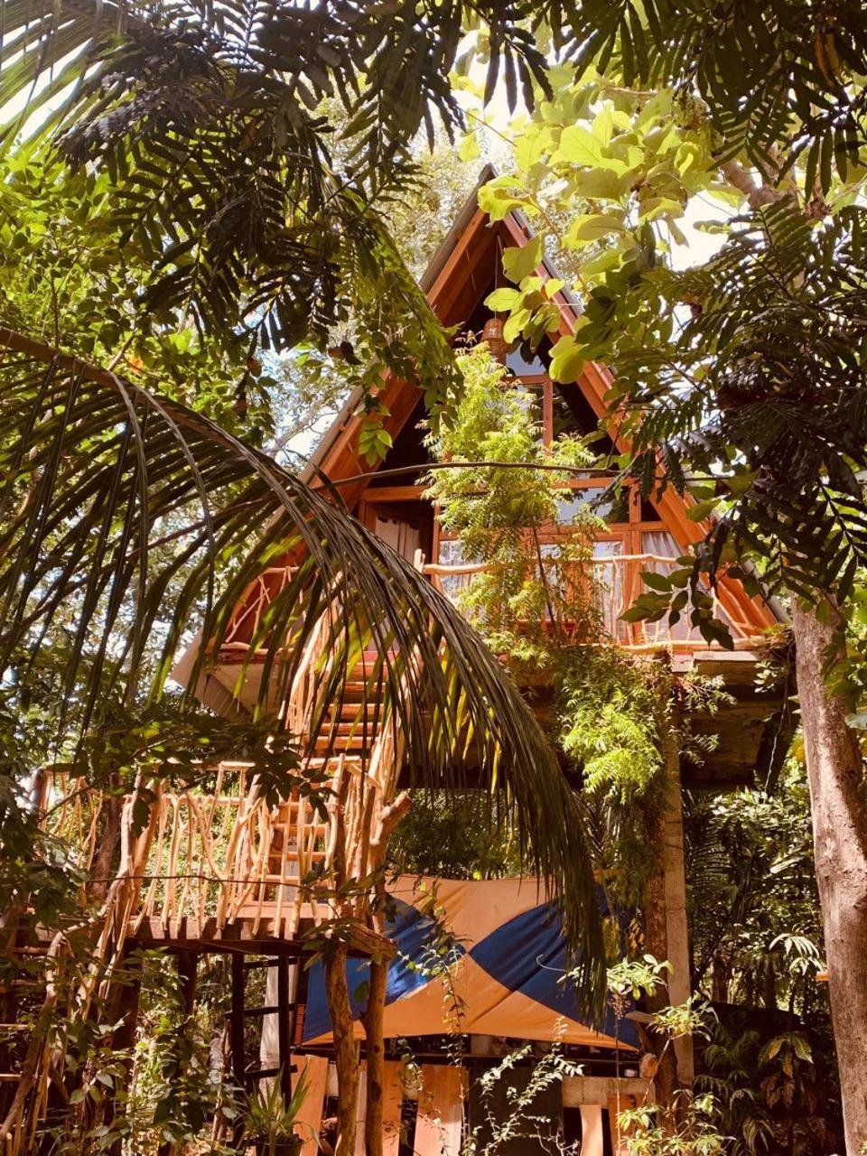 Angry Birds Tree House Leilighet Habarana Eksteriør bilde
