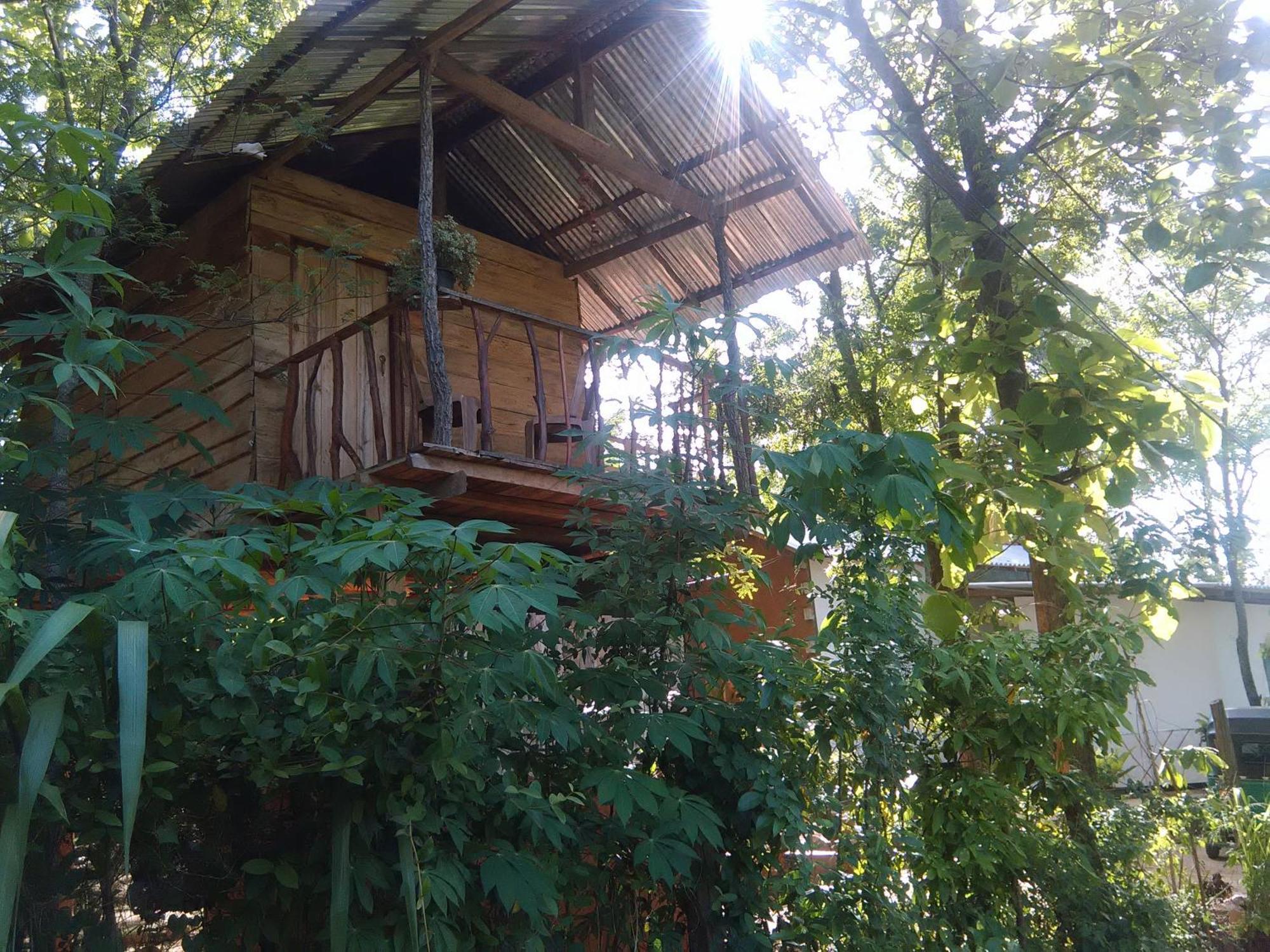Angry Birds Tree House Leilighet Habarana Eksteriør bilde