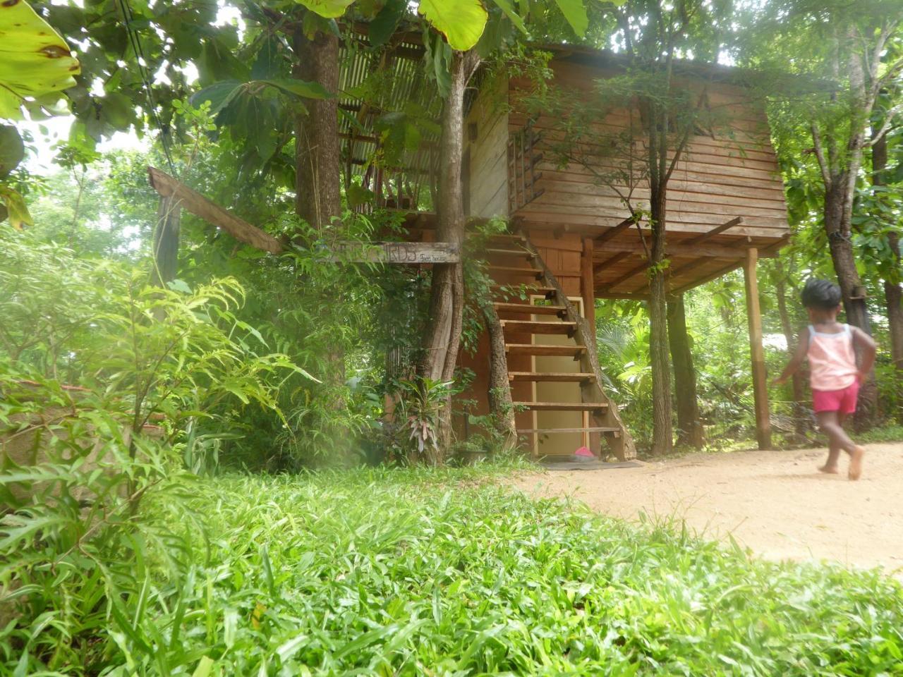 Angry Birds Tree House Leilighet Habarana Eksteriør bilde