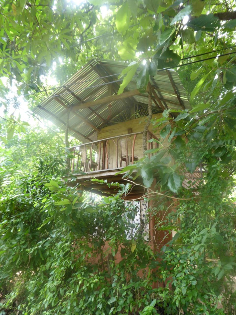 Angry Birds Tree House Leilighet Habarana Eksteriør bilde