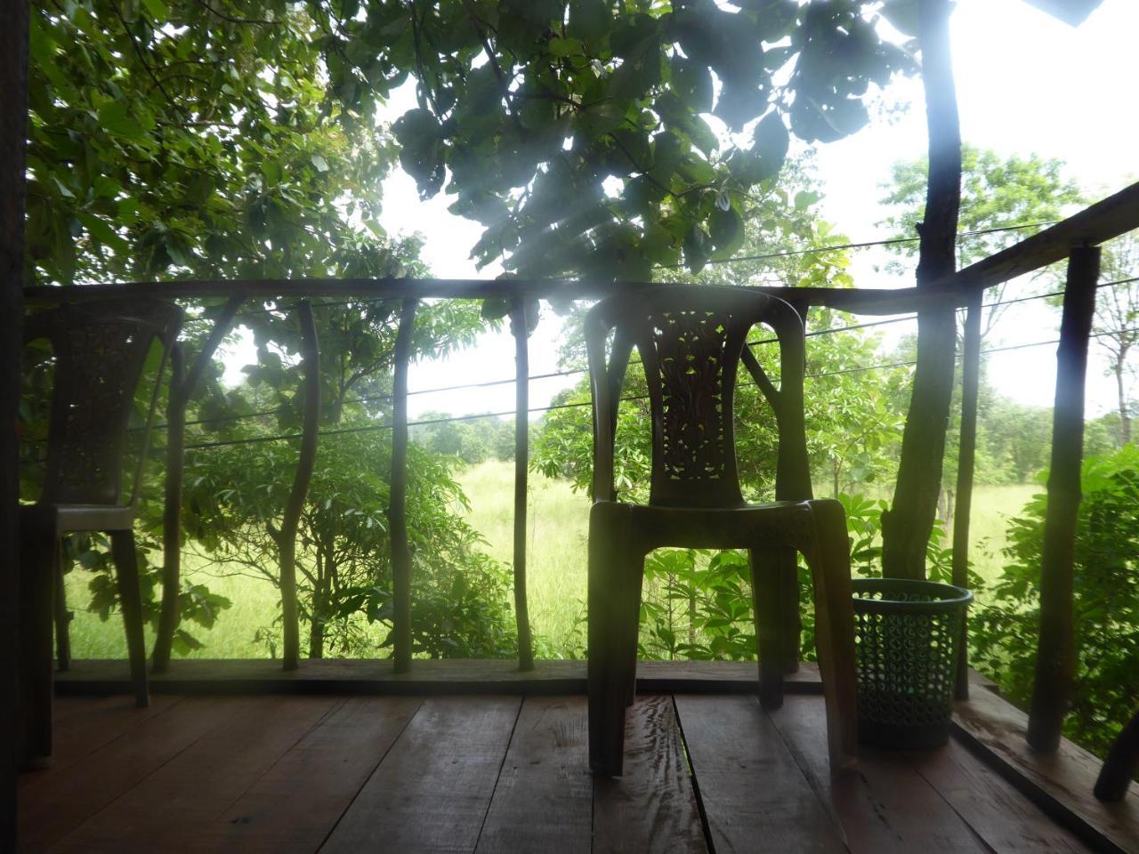 Angry Birds Tree House Leilighet Habarana Eksteriør bilde