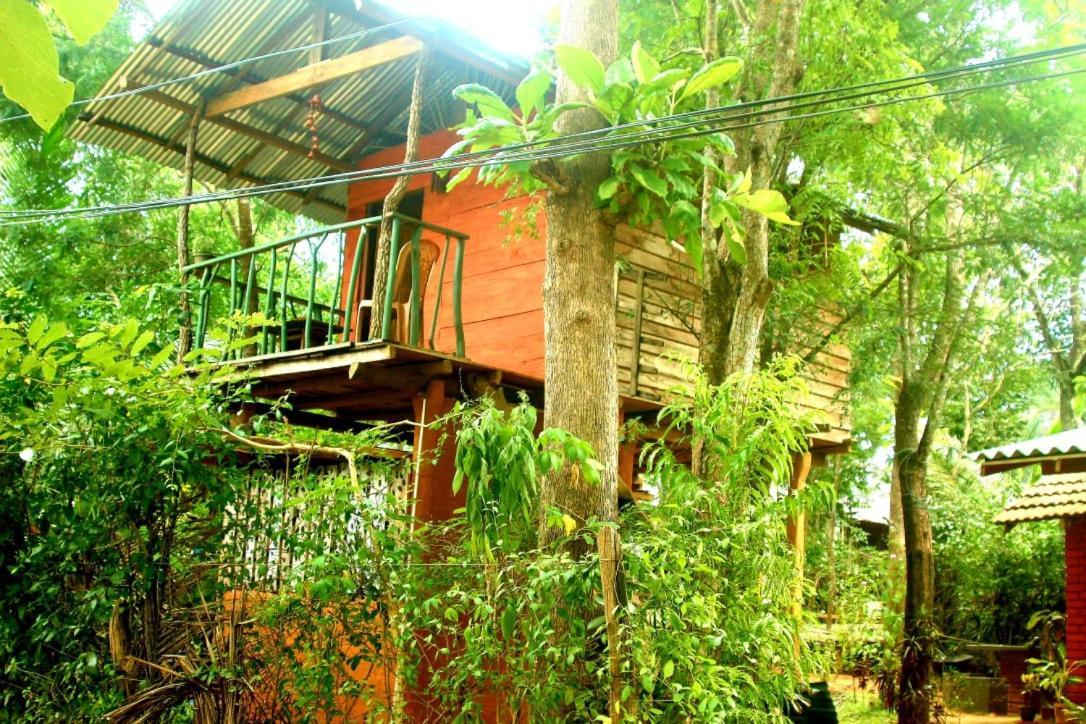 Angry Birds Tree House Leilighet Habarana Eksteriør bilde